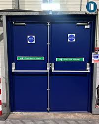 Blue Fire Exit Door